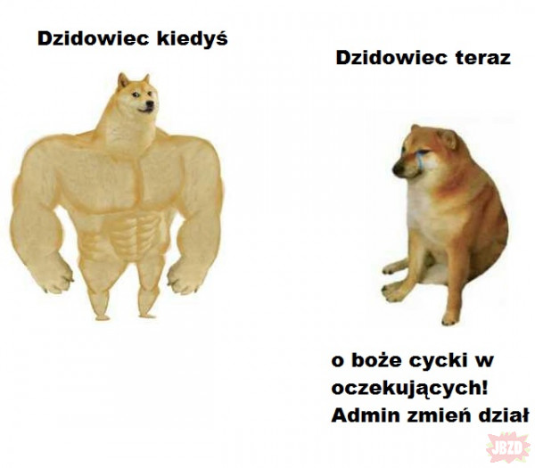 Dzidowcy