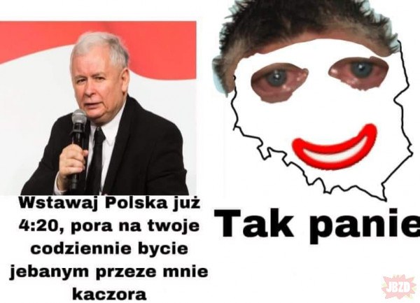 Polacy Robacy