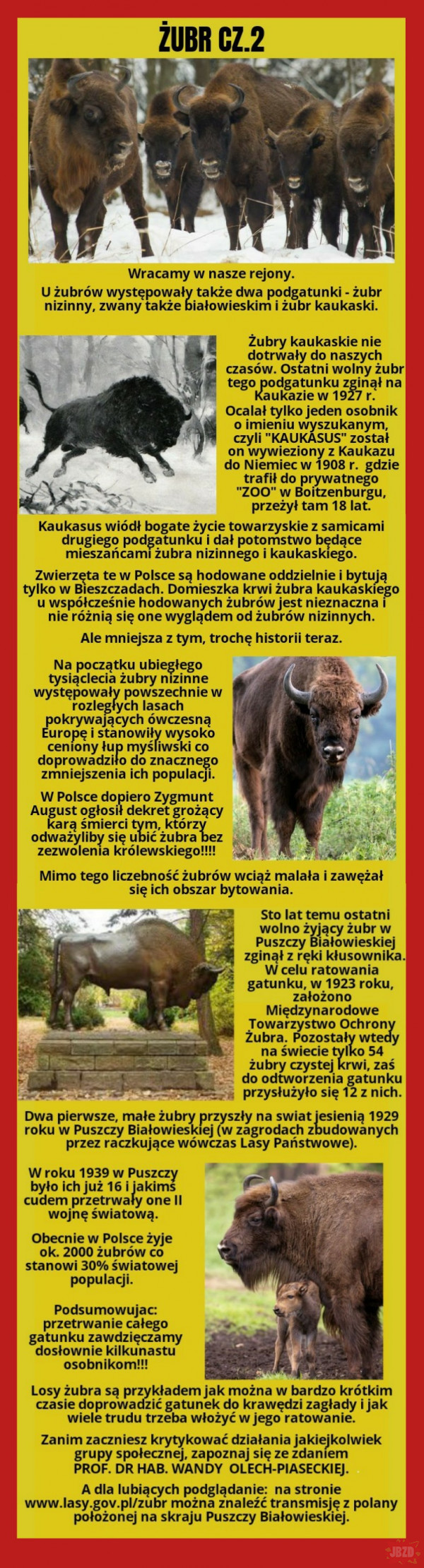 Najciekawsze zwierzęta w Polsce....