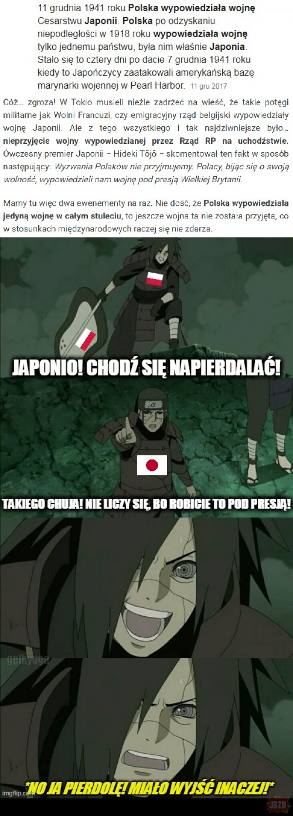 Polska - Japonia