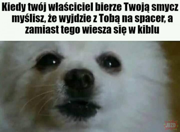 ://