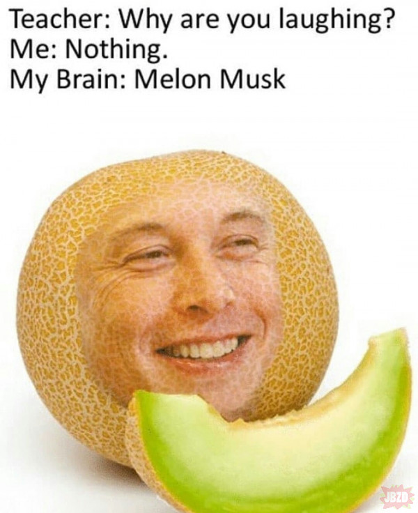 Melon Musk