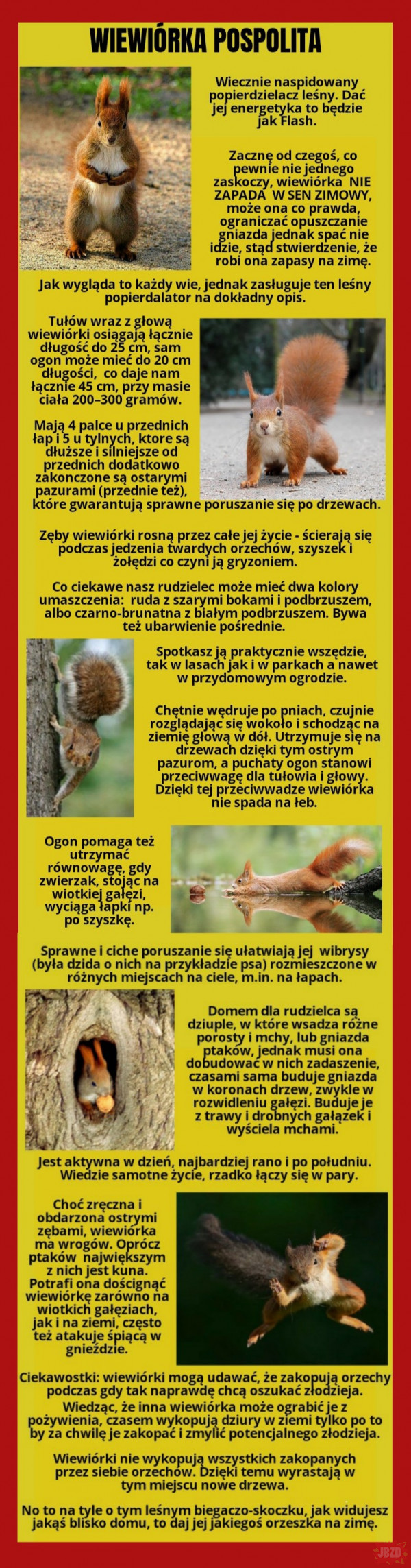 Najciekawsze zwierzęta w Polsce...