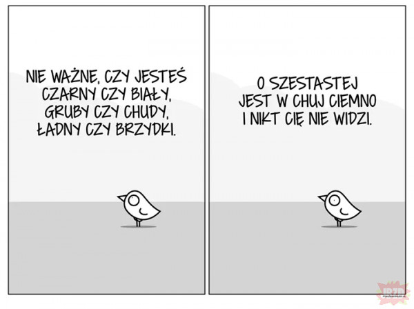 Ptaszek Staszek  powiada prawdę.