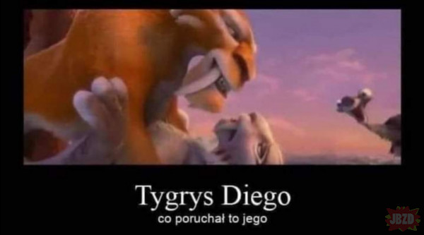 Tygrys Diego