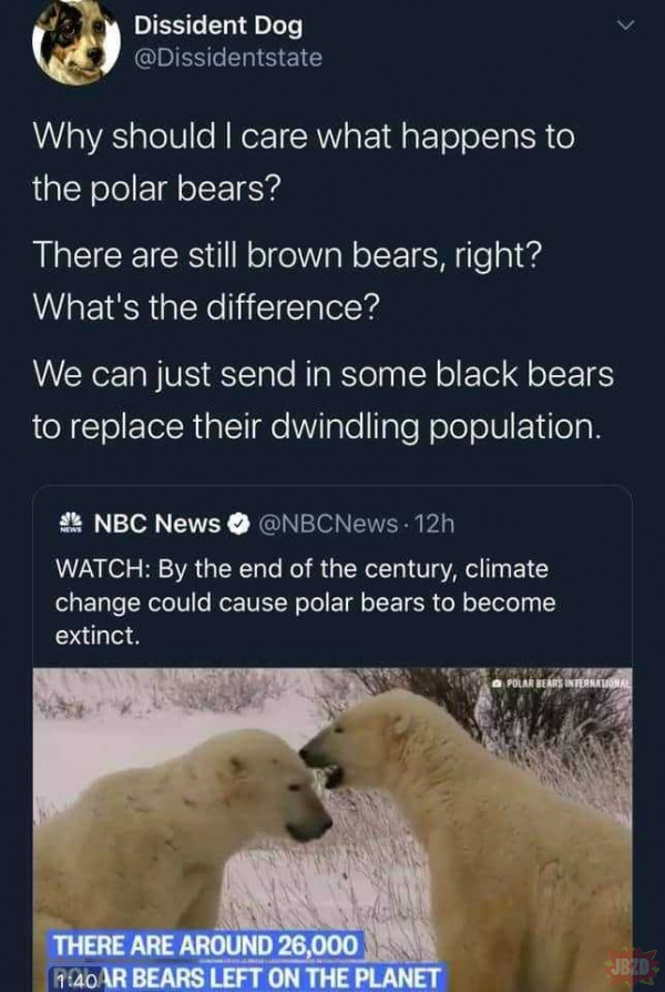 To tylko teoria spiskowa rasistowskich niedźwiedzi polarnych