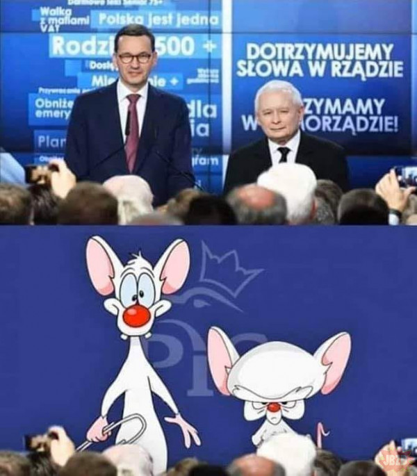 Pinki i Kaczyński