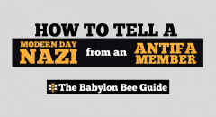 Infographic: How To Tell Nazi From Antifa
