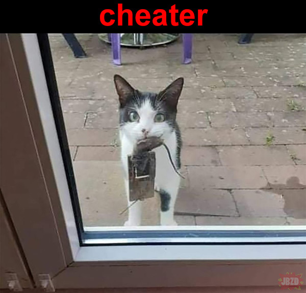 Cheater