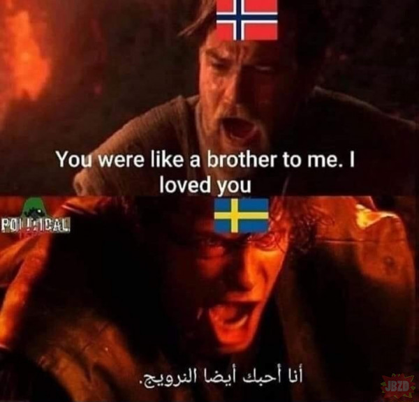Skandynawscy bracia