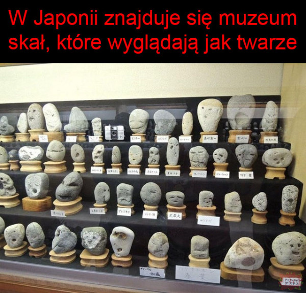 Muzeum w Japonii