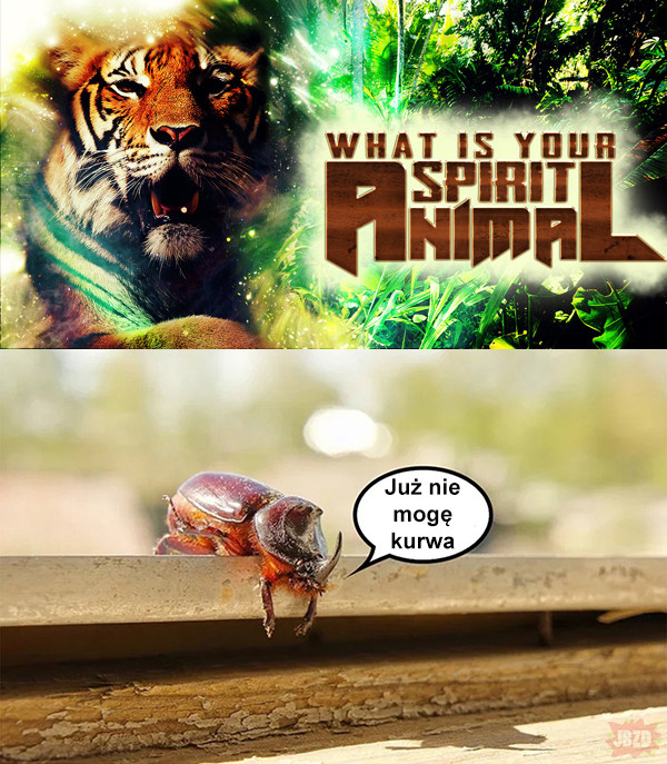 Spirit animal