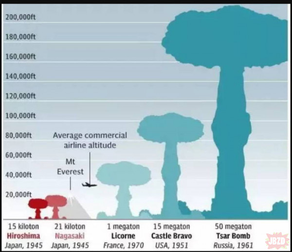Porównanie grzybów atomowych