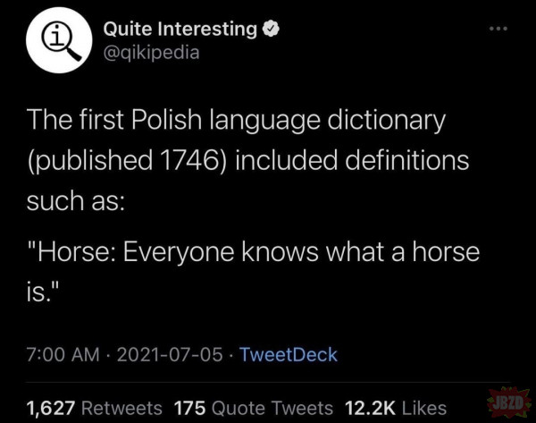 Definicja Konia