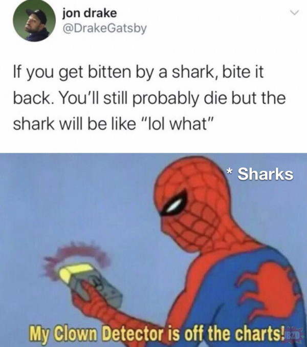 Sposób na rekiny