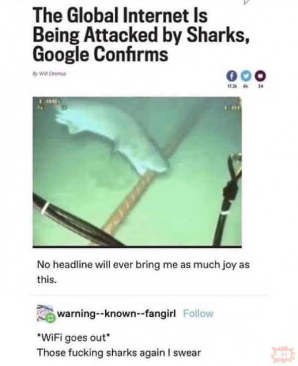 Damn sharks