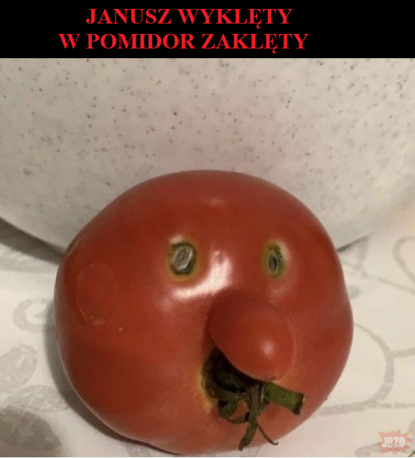 Janusz pomidor