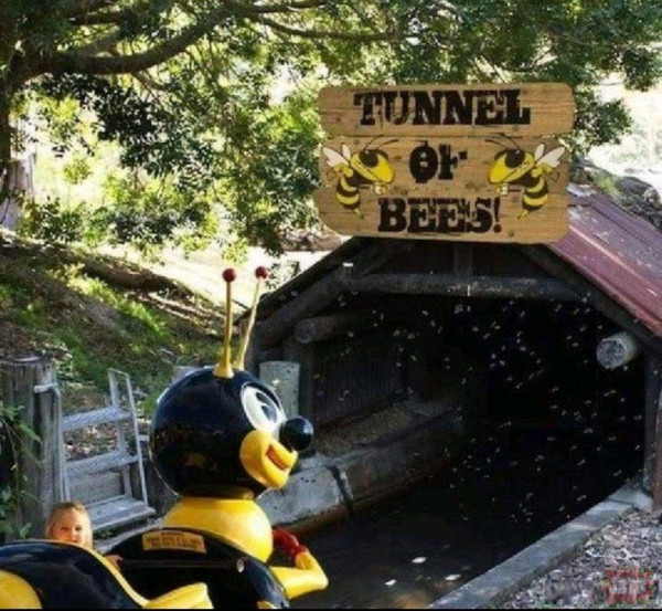 Super przejażdżka z pszczółkami