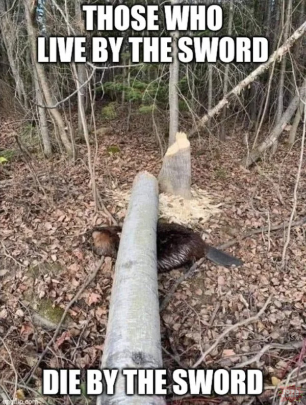 Kto mieczem wojuje