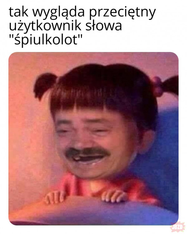 śpiulkolot is trendy, yes PWN