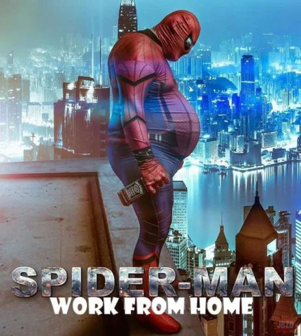 Spiderman Work from Home