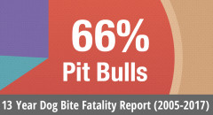 U.S. Dog Bite Fatalities: Breeds of Dogs Involved, Age Groups and Other Factors Over a 13-Year Period (2005 to 2017)
