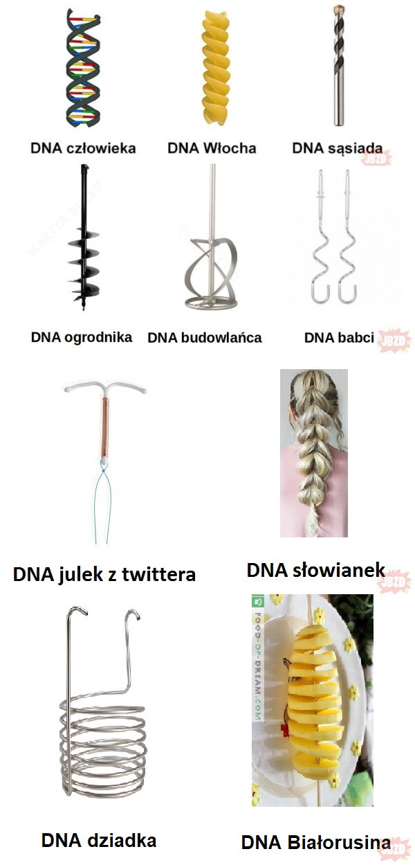 DNA ciąg dalszy