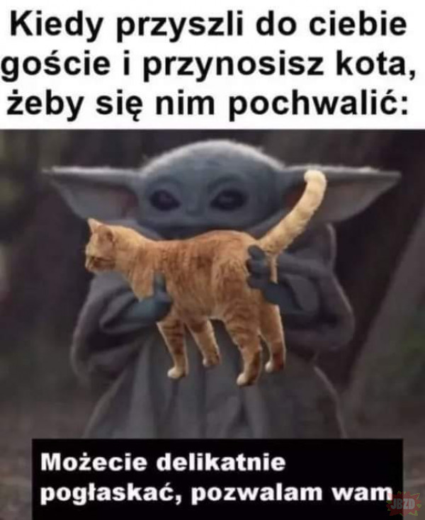 Tak to jest