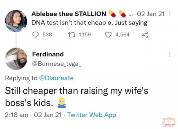 Testy DNA