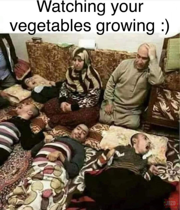 Rodzina veganów czy coś