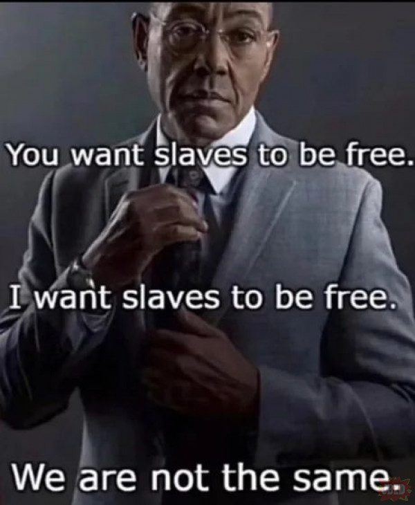Free slaves