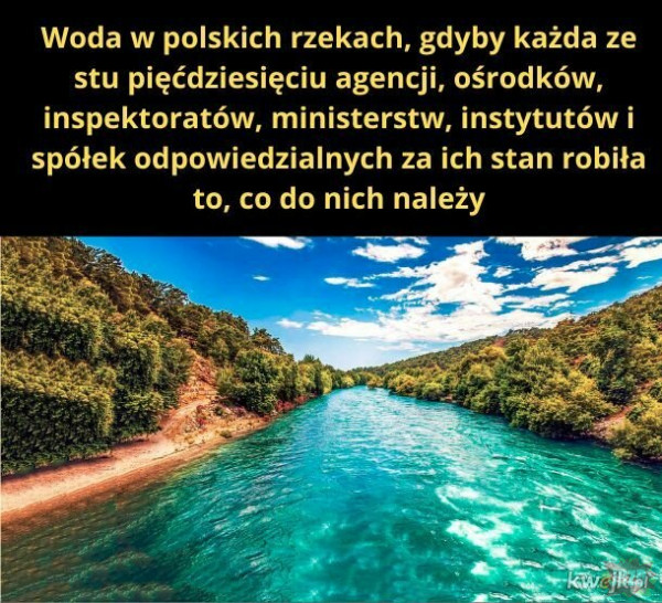 Polskie rzeki
