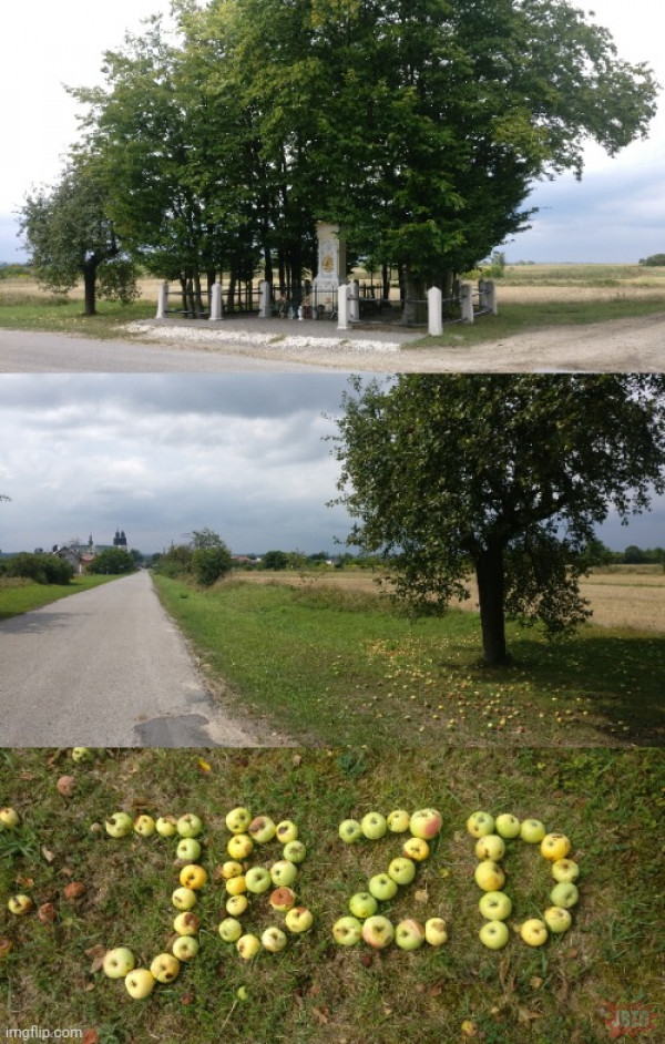Polska pachnąca jabłkami