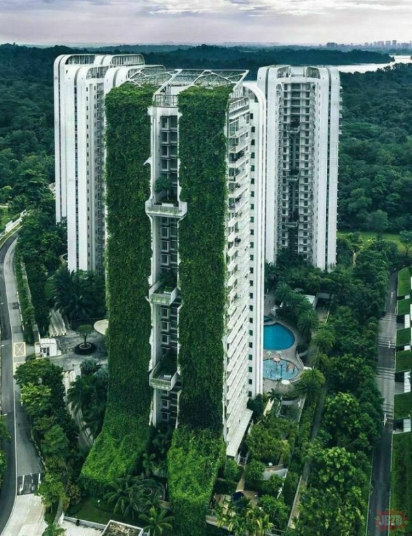 Zielone bloki w Singapurze