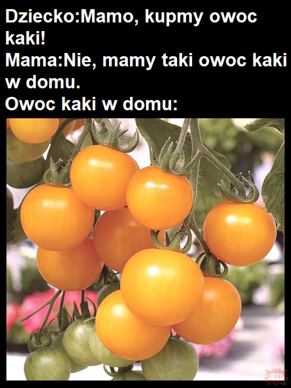 Owoc Kakopomidorowy