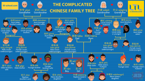 Komplikacja drzewa genealogicznego w Chinach