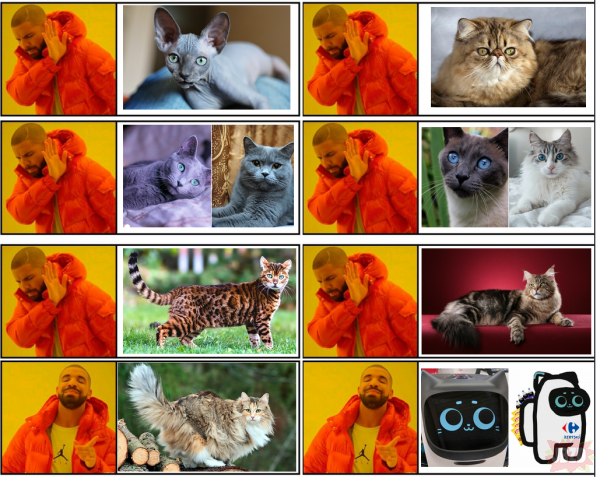 Podsumowanie Top 10 ras kotów według dzidowców: