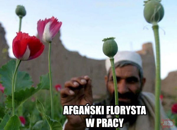Afgańska florystyka jest wesoła
