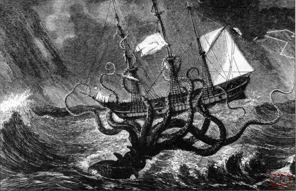 Kraken – Mityczny stwór morski a kałamarnica olbrzymia