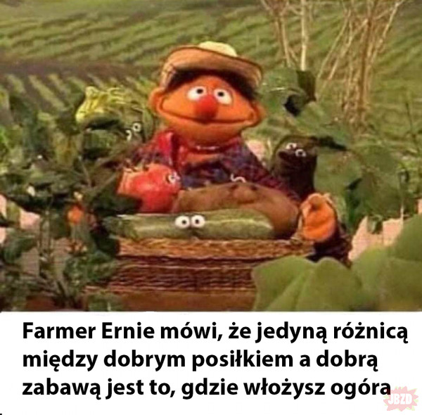 Ogrodnik Ernie