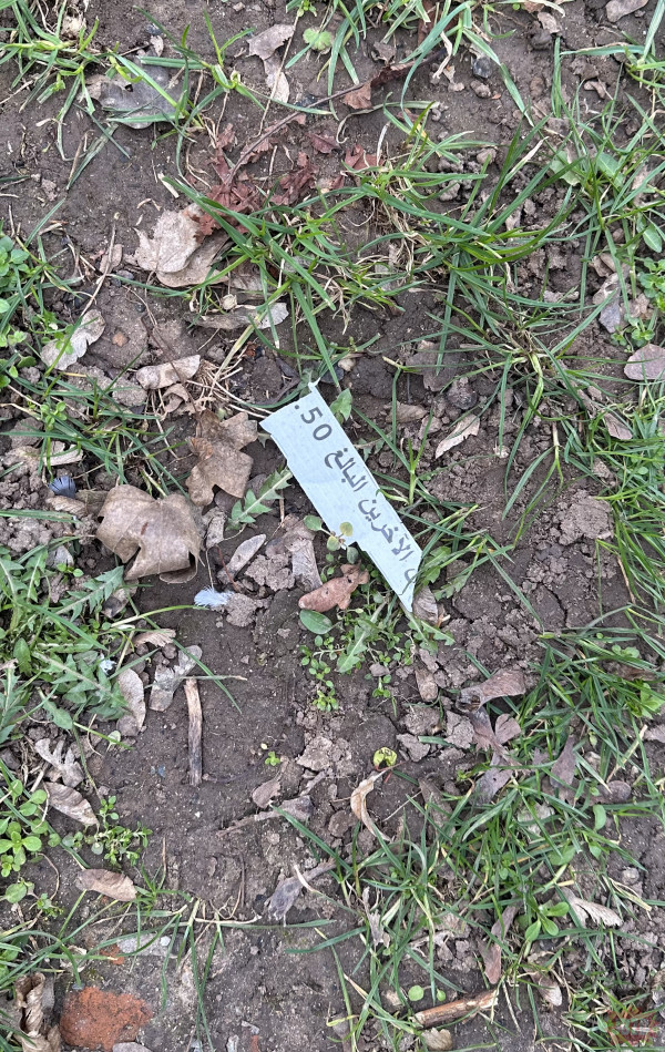Ot kawałek papieru znaleziony na trawniku przed blokiem w Niemczech. Ciekawe co tam pa niemiecku napisane? Jakiś germanista by się wypowiedział ..
