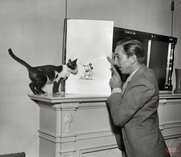 Walt Disney pokazujący swojemu kotku Myszkę Miki (1931).