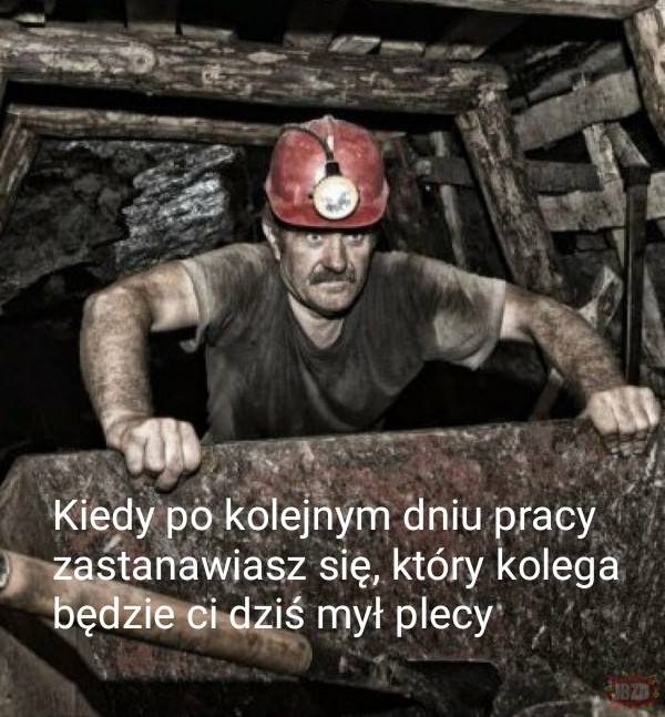 Co ci górnicy?