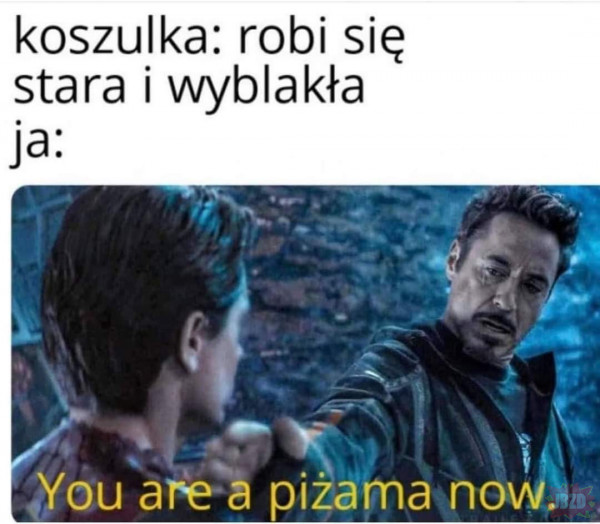 Polska 100%