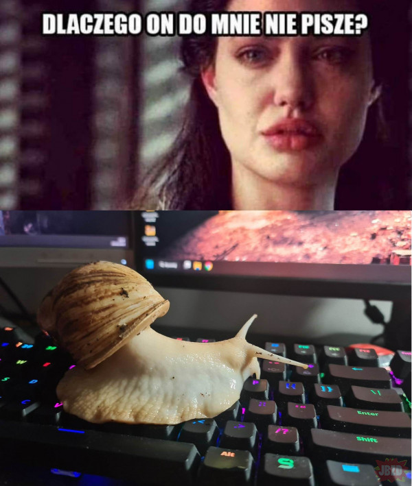 Mój Turbuś ślimak