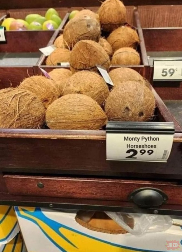 Skąd te kokosy? Przyemigrowały?