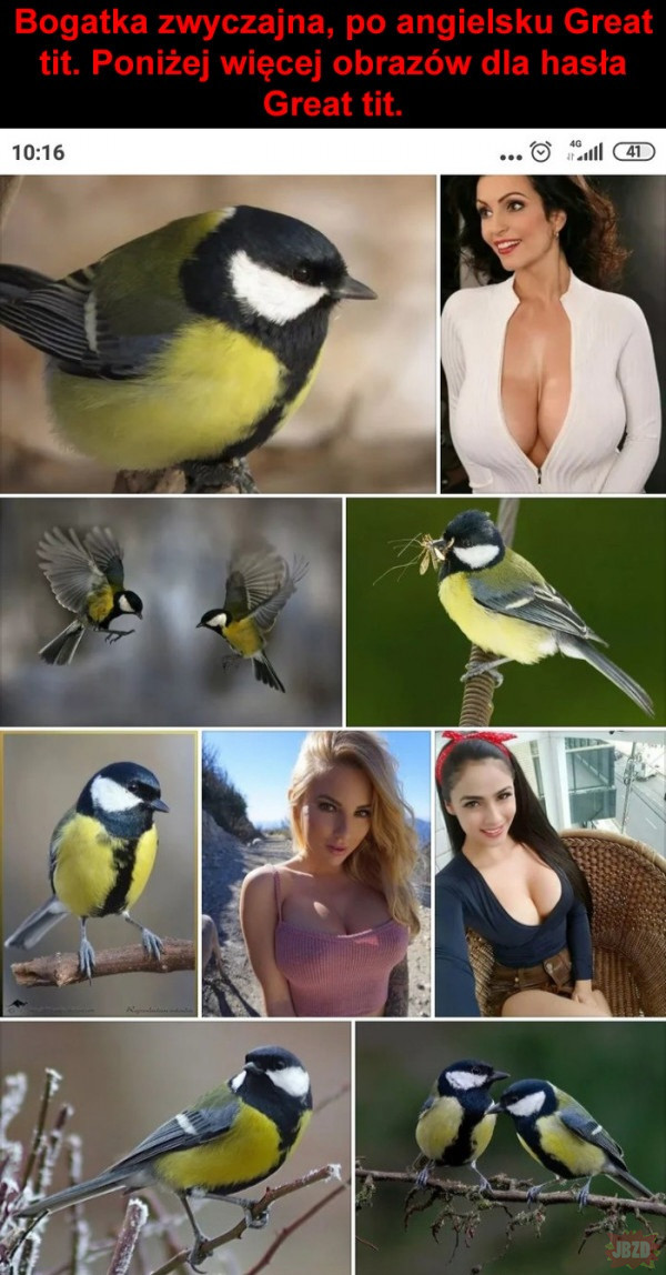 Ptaszki
