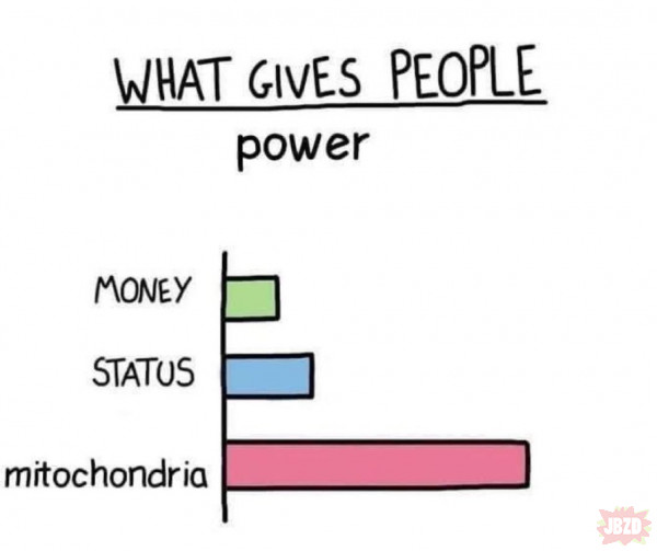 Niedoceniane mitochondria