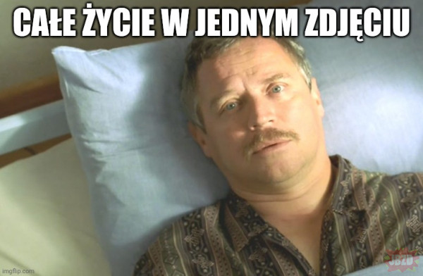 Pan Miauczyński