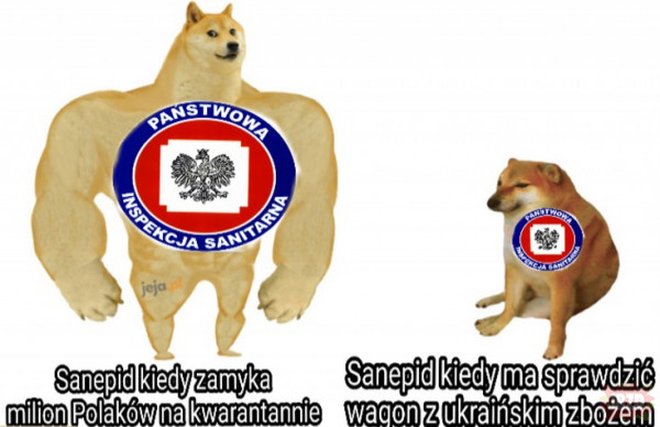 Polski Sanepid